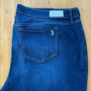 Slink curvy jeans size 24